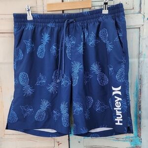 Hurley Punta Arenas Volley Swim Shorts